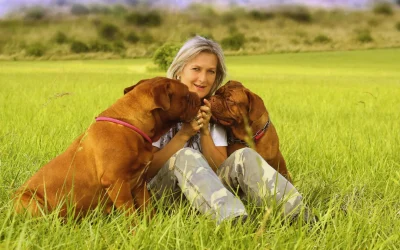 5 Easy Tips for First-Time Pet Parents