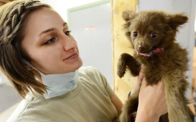 Understanding Pet Vaccinations